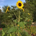 D'hotes Le Jardin De Rosalie Bed & Breakfast *