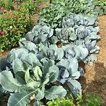 D'hotes Le Jardin De Rosalie