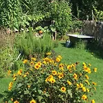 Bed & Breakfast D'hotes Le Jardin De Rosalie Willer-sur-Thur