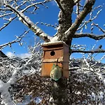 Bed & Breakfast D'hotes Le Jardin De Rosalie Willer-sur-Thur
