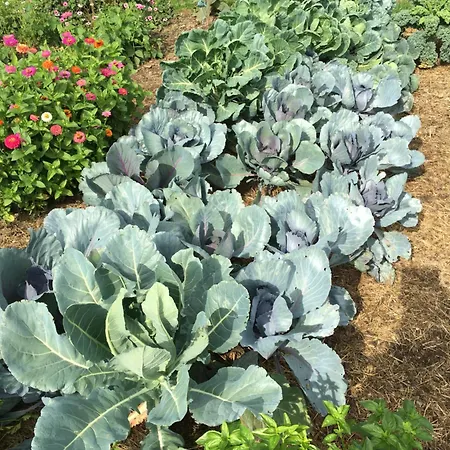D'hotes Le Jardin De Rosalie