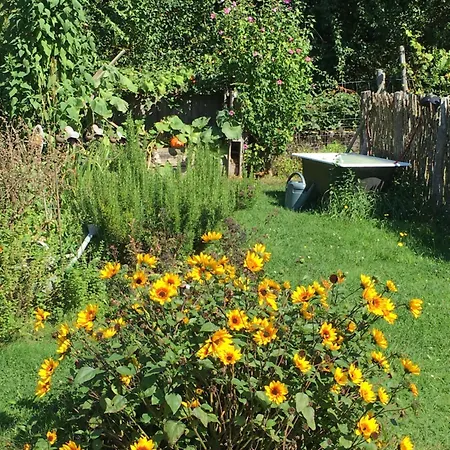 Panzió D'hotes Le Jardin De Rosalie Willer-sur-Thur