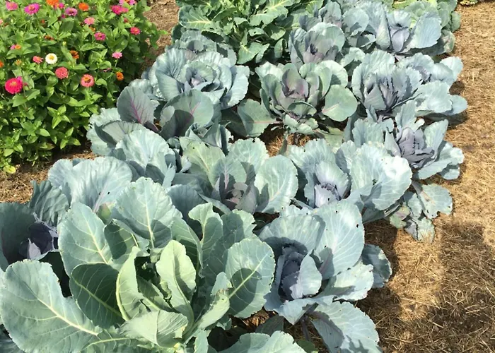 D'hotes Le Jardin De Rosalie