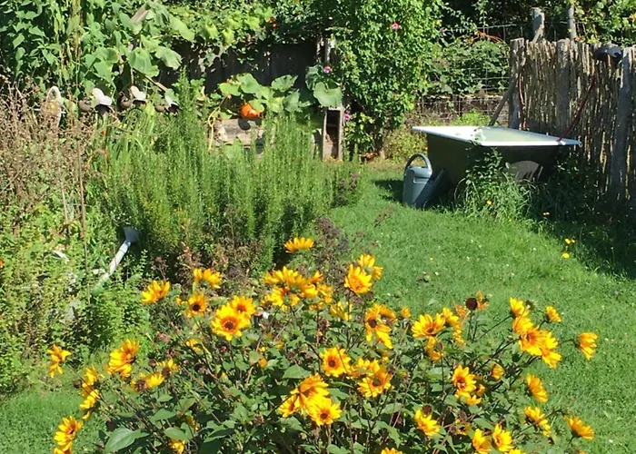 Bed and breakfast D'hotes Le Jardin De Rosalie Willer-sur-Thur