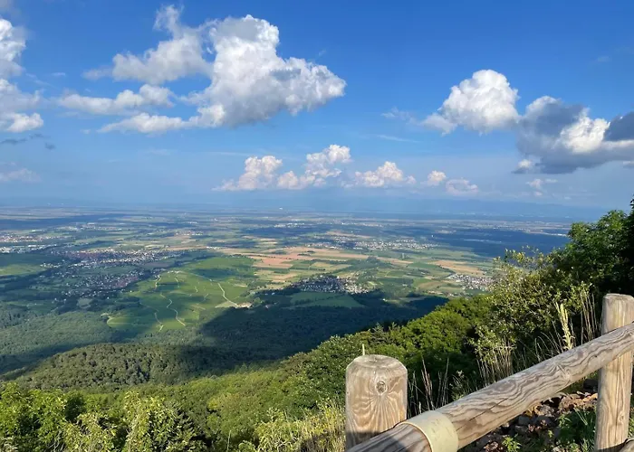 D'hotes Le Jardin De Rosalie *
