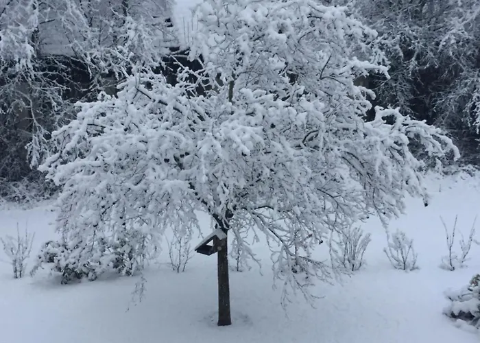 Frühstückspension D'hotes Le Jardin De Rosalie *