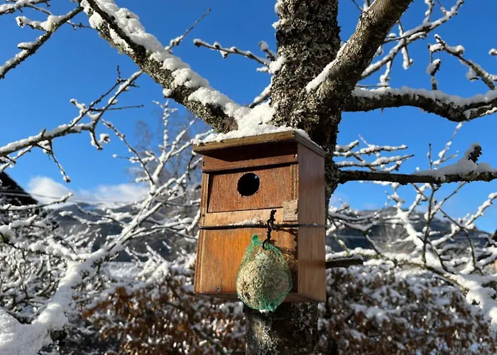 Frühstückspension D'hotes Le Jardin De Rosalie Willer-sur-Thur